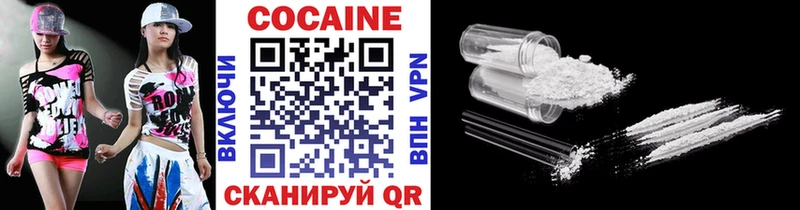 Купить закладки  Шарья  COCAIN Fish Scale 