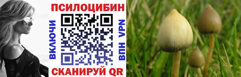 Псилоцибиновые грибы ЛСД Купить где Шарья